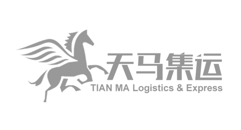 天马集运,台湾集运系统
